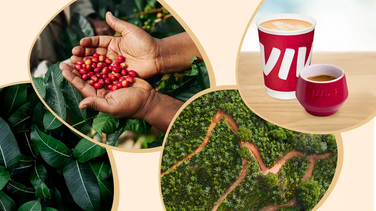 VIVA Coffee general banner SO new