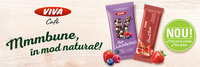 VIVASnacks_1100x367