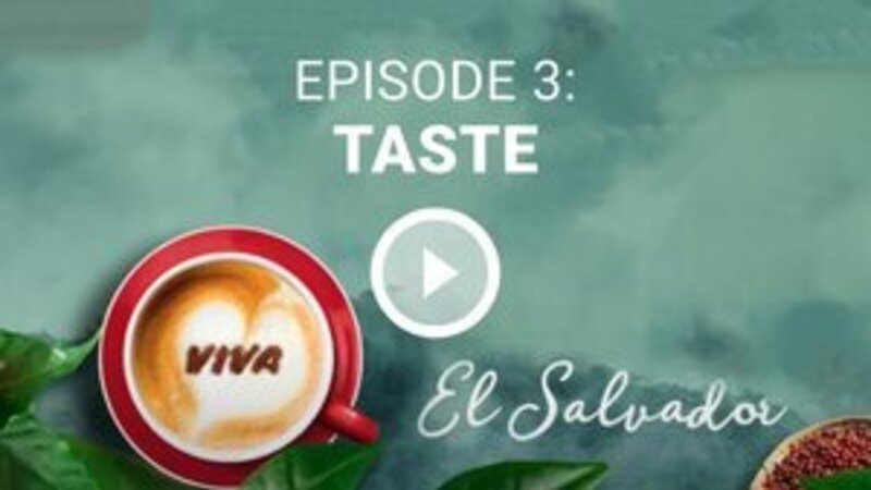img_VIVA coffee_el_salvador_episode 3_RO