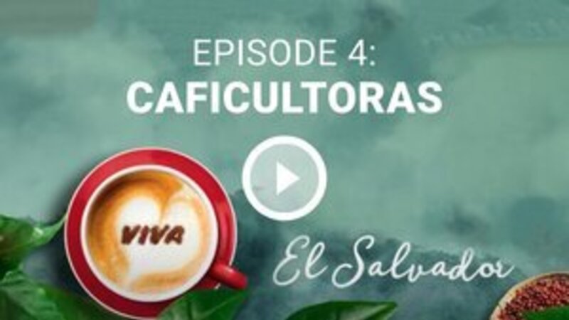 img_VIVA coffee_el_salvador_episode 4_RO